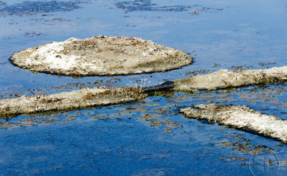 La main de l'homme 10