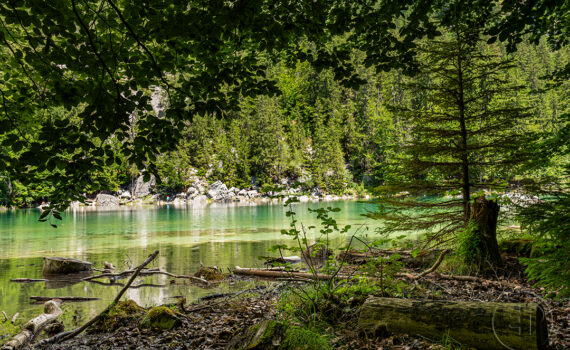 Le Lac Vert 2025 01