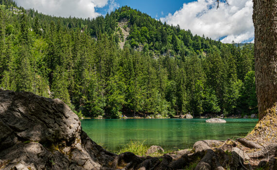 Le Lac Vert 2025 02