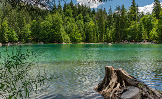 Le Lac Vert 2025 05