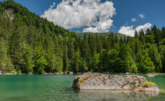 Le Lac Vert 2025 06