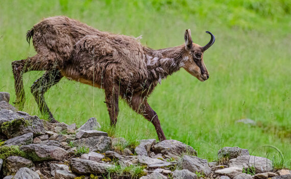 Parc du Merlet 2021 01