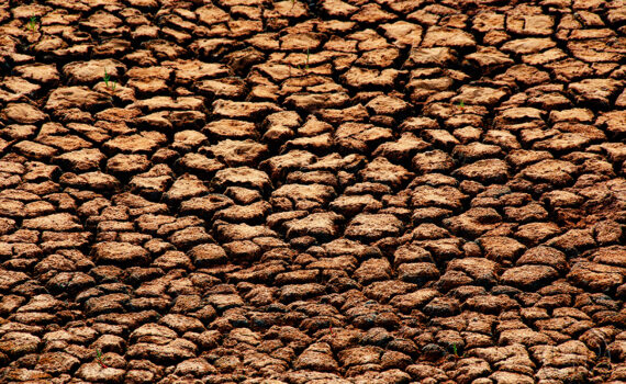 Sous le soleil brûlant 02