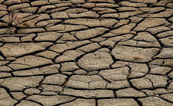 Sous le soleil brûlant 03