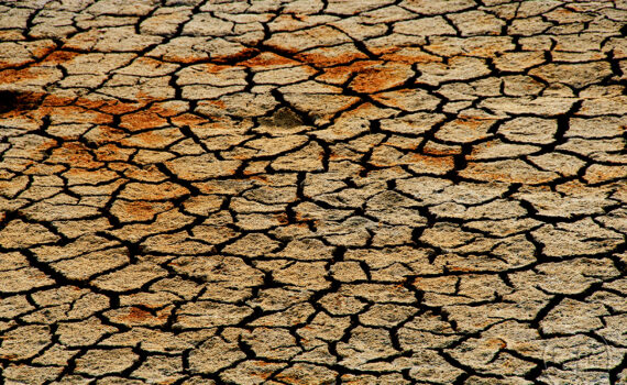 Sous le soleil brûlant 04