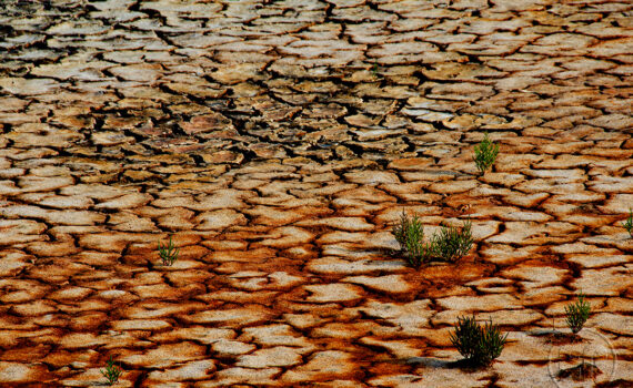 Sous le soleil brûlant 05