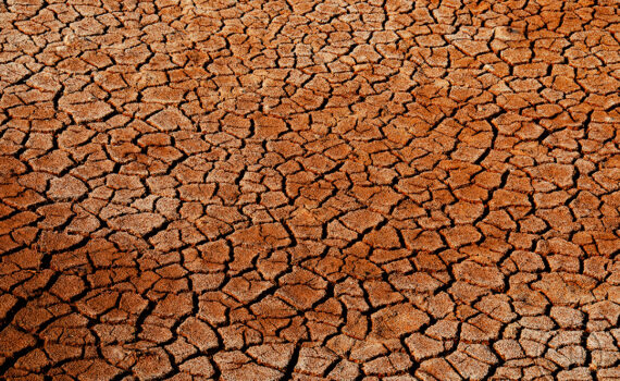 Sous le soleil brûlant 06