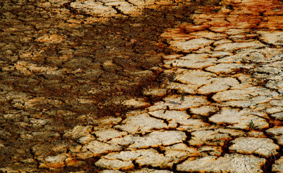 Sous le soleil brûlant 07