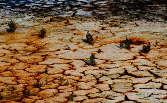 Sous le soleil brûlant 08
