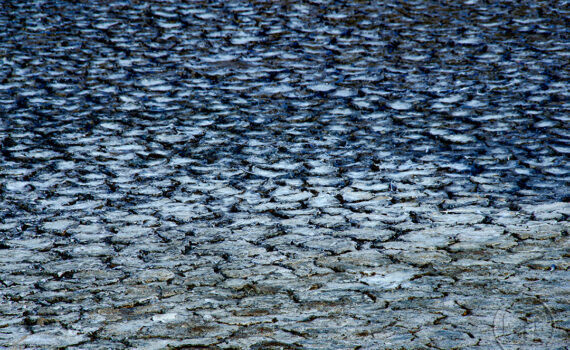 Sous le soleil brûlant 09