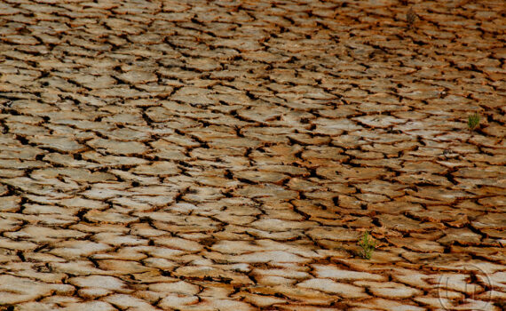 Sous le soleil brûlant 10