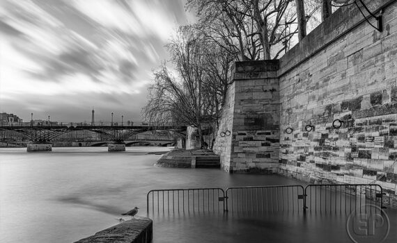 Crue de la Seine 2026 03