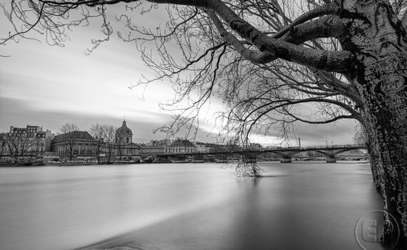 Crue de la Seine 2026 06