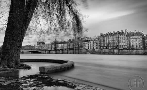 Crue de la Seine 2026 08