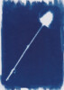 Photogramme au Cyanotype_04 Photogramme au Cyanotype_04
