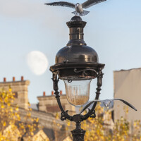 PHOTO DE LA SEMAINE 2019-42 Esplanade Photo PHOTO DE LA SEMAINE 2019-42 Esplanade Photo