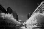 Esplanade Photo - Vue sur la Défense en infrarouge 06 Esplanade Photo - Vue sur la Défense en infrarouge 06