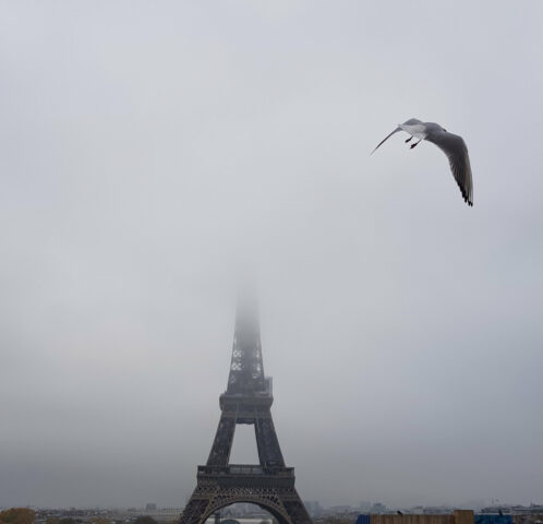 PHOTO DE LA SEMAINE 2026-01 Esplanade Photo ©Anne-Marie Genot